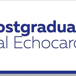 Postgraduate Course in Periprocedural Echocardiography